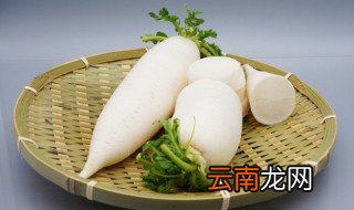 萝卜开花后怎么养 萝卜可以开花吗