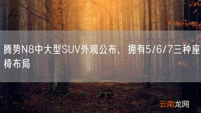 腾势N8中大型SUV外观公布，拥有5/6/7三种座椅布局
