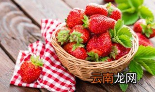 开花的草莓苗种植方法 草莓苗开花后怎么养