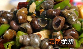 炒螺丝几分钟才能熟 炒螺丝要煮多久能熟