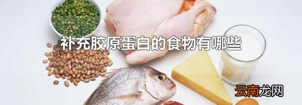 补充胶原蛋白的食物有哪些