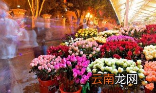 收到一捧花怎么养 捧花怎么养