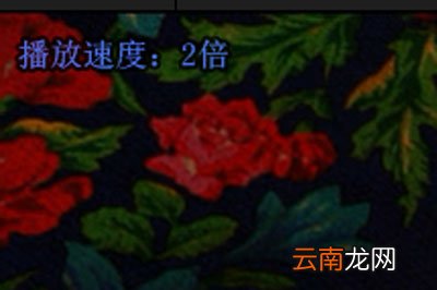 完美解码怎么加速播放 一键倍速播放