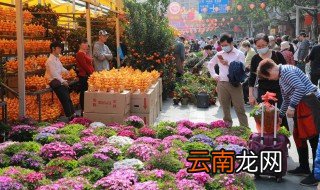买回来的花怎么养活 买回来的花怎么养