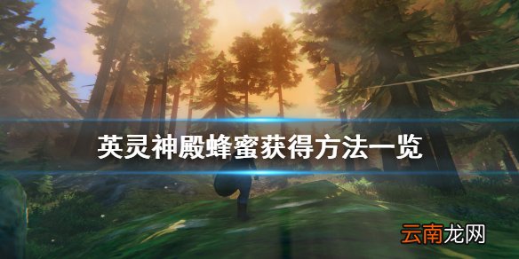 valheim蜂蜜怎么获得 英灵神殿蜂蜜获得方法一览