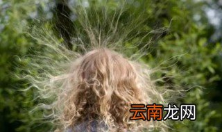 头发静电会导致脱发吗 头发静电能导致脱发吗