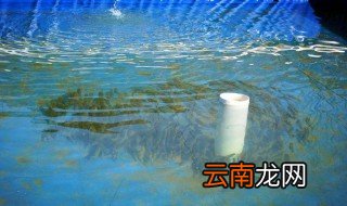 池塘怎么养鱼 池塘养鱼技术