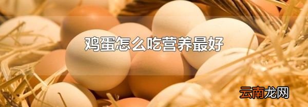 鸡蛋怎么吃营养最好
