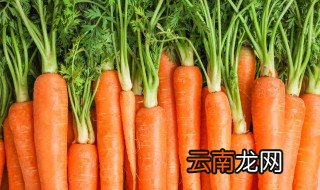 萝卜片炒多久才能熟 炒的胡萝卜片能放多久能熟