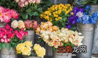 花店的花怎么养 花店的花怎么养起来