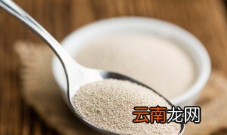 酵母读音 酵母怎么读