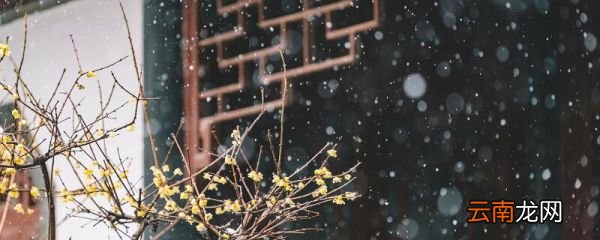 对雪高骈诗拼音版 古诗对雪带拼音