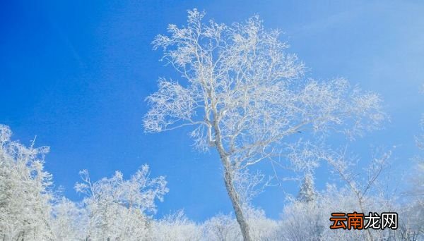 对雪高骈诗拼音版 古诗对雪带拼音