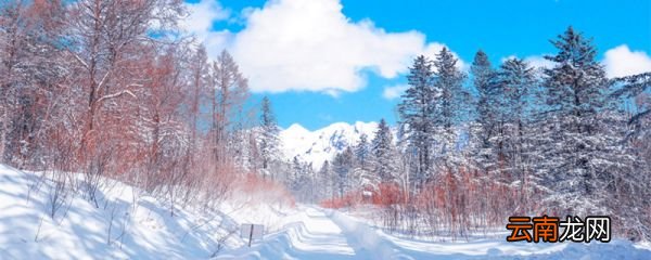 为什么东北气温日较差大 东北夏季气温日较差大的原因