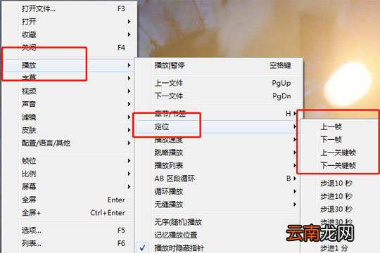 完美解码怎么按帧播放 逐帧播放了解下