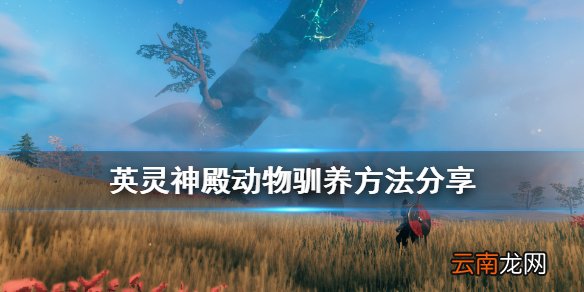 valheim动物怎么驯养 英灵神殿动物驯养方法分享