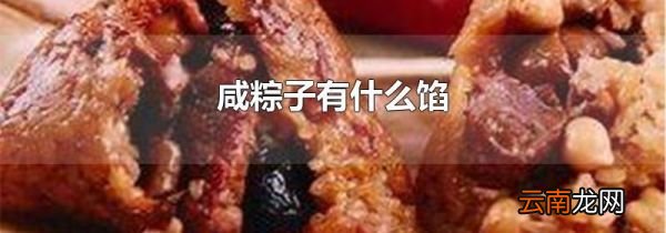 咸粽子有什么馅