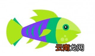 草鱼苗怎么养 2-3厘米的草鱼苗怎么养