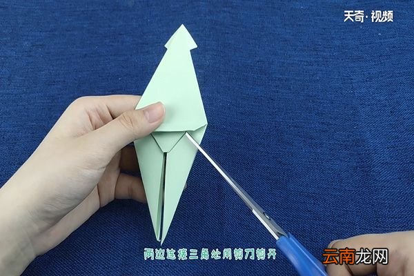 乌贼怎么折