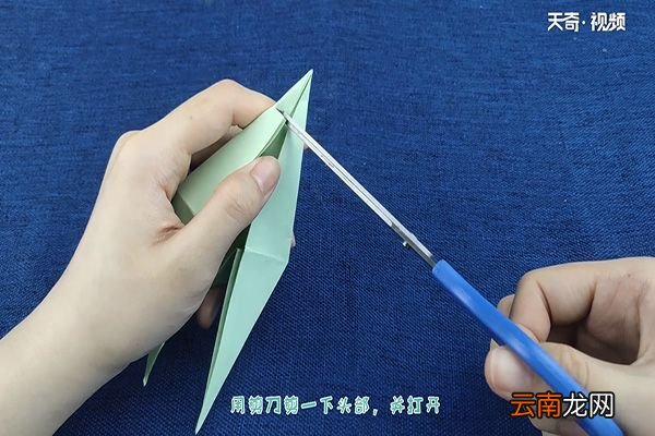 乌贼怎么折