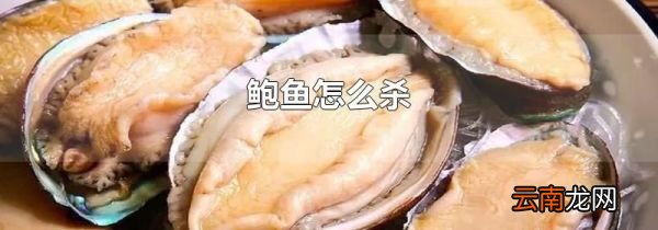 鲍鱼怎么杀