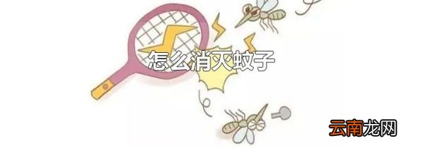 怎么消灭蚊子