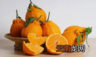 怎样挑选好吃的不知火橘 不知火柑怎么挑选