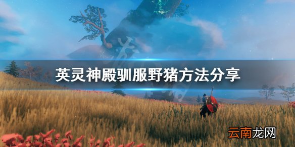 英灵神殿野猪怎么驯服 英灵神殿驯服野猪方法分享