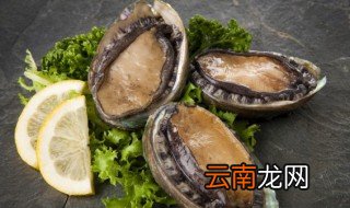 鲍鱼丁煮多久 鲍鱼丁炒多久能熟