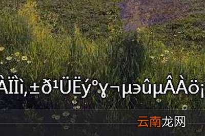 完美解码字幕导入乱码怎么办 这个方法快速修正