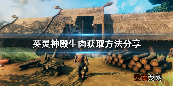 Valheim生肉怎么获得 英灵神殿生肉获取方法分享