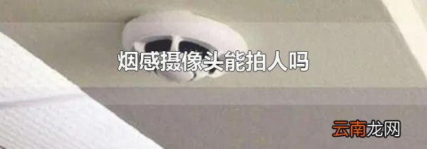 烟感摄像头能拍人吗