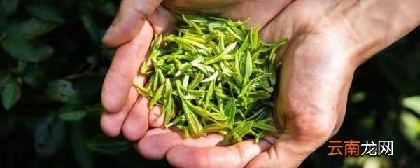 茶叶的保存方法长期保存方法 茶叶如何长期保存方法
