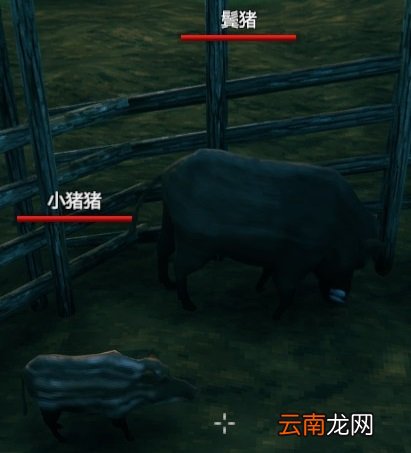 英灵神殿猪能繁殖吗 Valheim英灵神殿猪驯化及喂养方法介绍