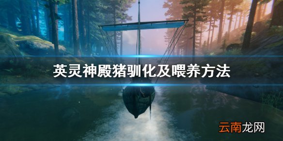 英灵神殿猪能繁殖吗 Valheim英灵神殿猪驯化及喂养方法介绍