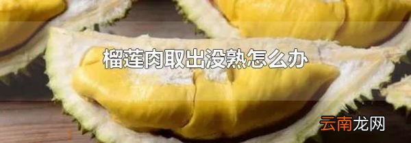 榴莲肉取出没熟怎么办