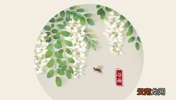 槐花长期保存方法 槐花如何保存时间长