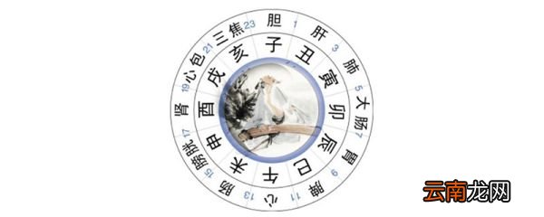 巳时是几点至几点 巳时是几点