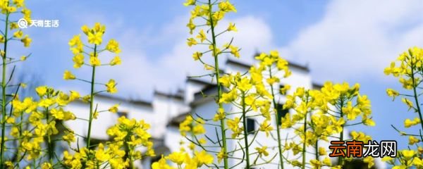 励志加伤感的句子 盘点励志加伤感的句子