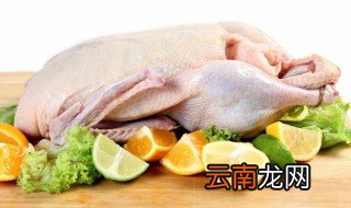初伏怎么吃鸭肉 初伏冬瓜鸭肉的做法