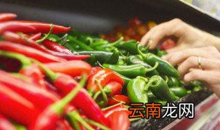 我国从哪个朝代开始有辣椒，辣椒是什么时候传入中国的
