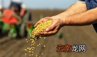 播种读音 播种读音和解释