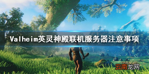 Valheim英灵神殿联机服务器要注意什么 联机服务器注意事项