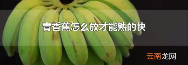青香蕉怎么放才能熟的快
