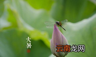 大暑时怎么吃好吃 大暑时怎么吃
