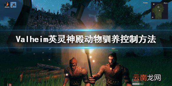 Valheim英灵神殿动物怎么控制 英灵神殿动物驯养控制方法
