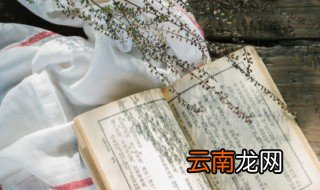 强词夺理的读音 强词夺理的读音是什么