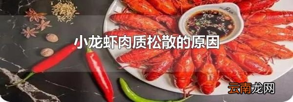 小龙虾肉质松散的原因