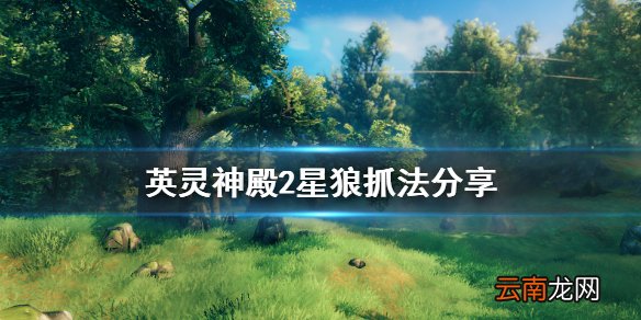 valheim2星狼怎么抓 英灵神殿2星狼抓法分享