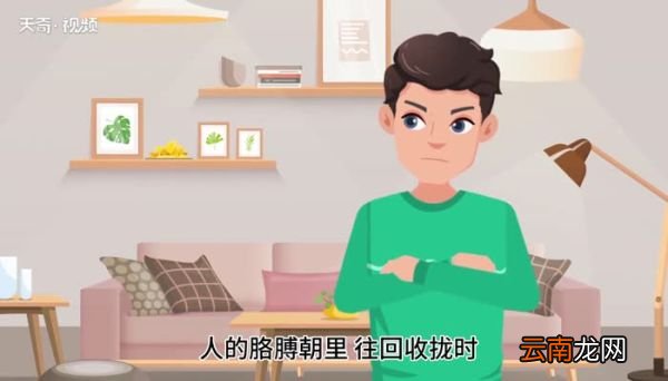 胳膊的意思 胳膊什么意思